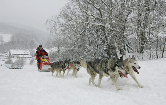 Závod psích speení edivákv long 2010