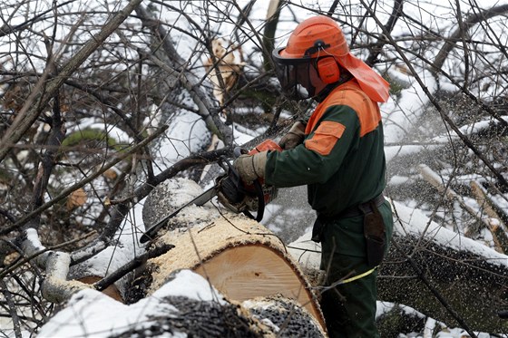 Pi práci v lese na Klatovsku smrteln zranil tpkovací stroj 38letého mue (ilustraní snímek).