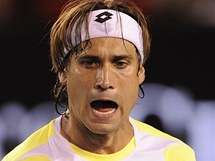 David Ferrer