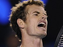 Andy Murray v semifinle Australian Open