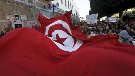 Protesty v Tunisu (24. ledna 2011)