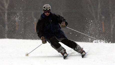 Lyžař v areálu Ski Sviňorky. Lyžař v areálu Ski Sviňorky.