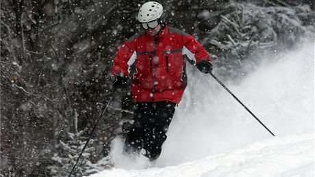 Lyžař v areálu Ski Sviňorky. Lyžař v areálu Ski Sviňorky.