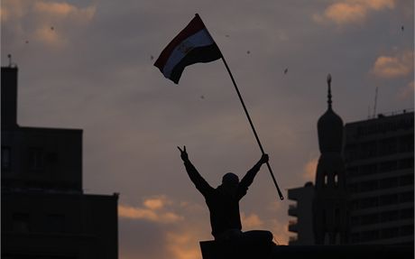 Nepokoje v Egypt (30. ledna 2011)