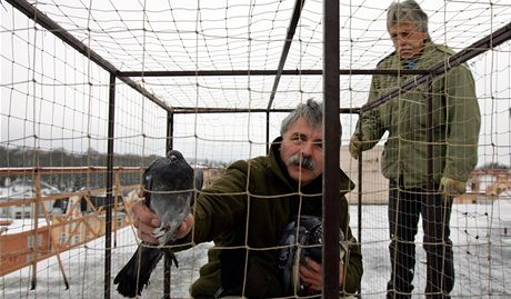 Frantiek Chrpa a Vladimír norbert v odchytové kleci na holuby, která je umístna na stee policejní budovy v centru Chebu. 