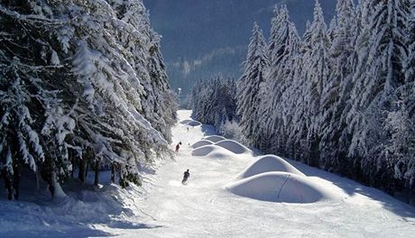 Krkonoe, Skiaréna erná hora - Janské Lázn