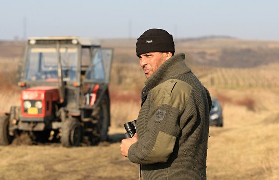 Uprchlého býka hledají v okolí Pavlovic zemdlci na koních, traktorech i na paraglidu.