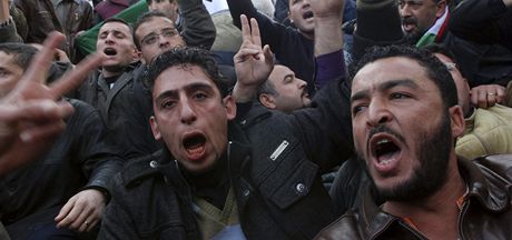 Protesty v Alírsku (12. února 2011)