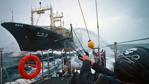 Aktivisté ze Sea Shepherd Conservation Society blokují japonskou velrybáskou lo (9. února 2011).