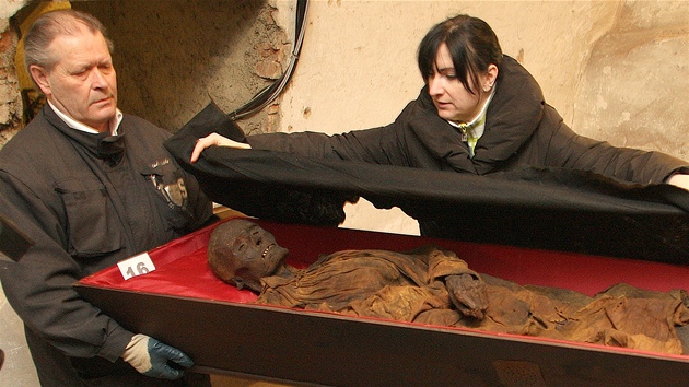 Restaurátorka Irena Straková pipravuje mumie k transportu.