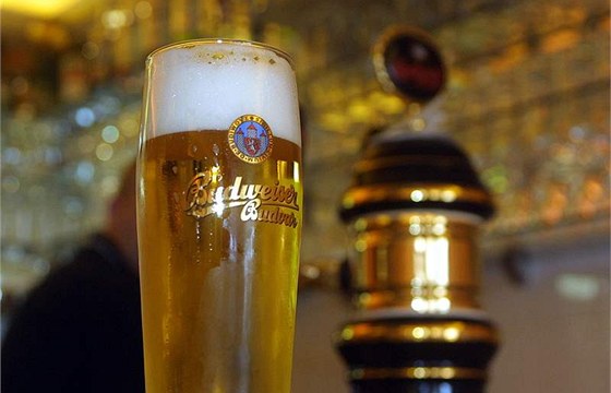 Firma z Hradce bude uit v Etiopii, jak se vaí pivo plzeského typu (ilustraní foto).