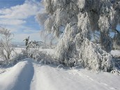 Stromy v okol Volar a Kianova na Prachaticku pokrv v tchto dnech siln vrstva nmrazy. 