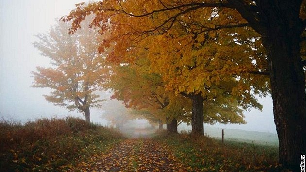 podzim, sychravo, chladno, listí, dé, mokro, mlha
