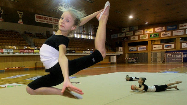 Sportovn hala v eskch Budjovicch.