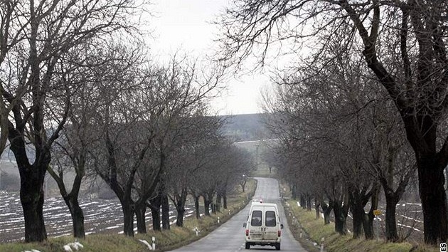 Alej z Kyjova na Svatobořice-Mistřín je úsekem častých nehod Alej z Kyjova na Svatobořice-Mistřín je úsekem častých nehod
