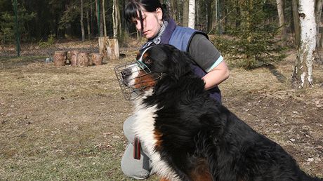 Tereza Pardubská z psího útulku v Plzni pi venení psa Daga, kterého nkdo nechal uvázaného v lesíku u útulku.