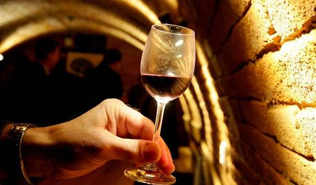 Z hrozn na vinici sv. Kláry je podle degustátor víno vynikající. (Ilustraní snímek)