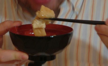 Misku s polvkou Japonci pi jdle dr v ruce 