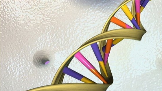 Stopa DNA se stala pro policii upesujícím vodítkem. Ilustraní foto