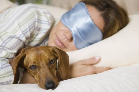 Pes do postele nepatí, ale kdo by nepustil svého mazlíka do teplých pein. Riskujete ale blechy, klíata i ekzémy.