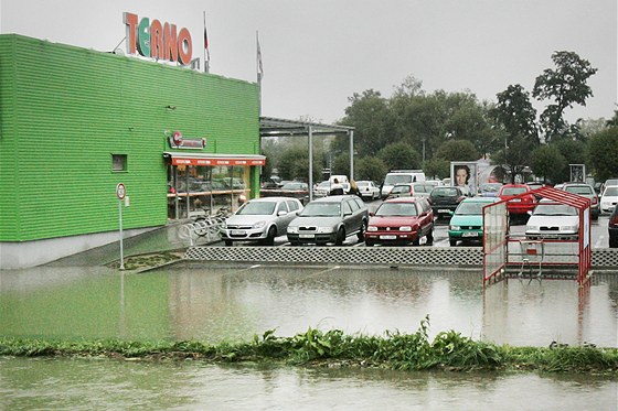 U eskobudjovického Terna se potok asto rozvodní