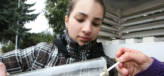 áci základní koly Nádraní v Bystici nad Perntejnem odesílají výsledky mení klimatologm a meteorologm do USA.