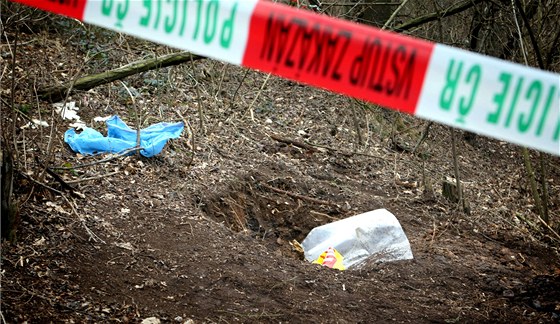 Údajná jáma, kde se mlo najít tlo devítileté dívky. Nakonec vylo najevo, e pro veejnost jde o falenou stopu. Nyní policie piznala, e jámu vykopali detektivové.