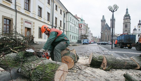 Kácení strom na hradeckém Velkém námstí v beznu 2011, rekonstrukce se ale stále odkládá.