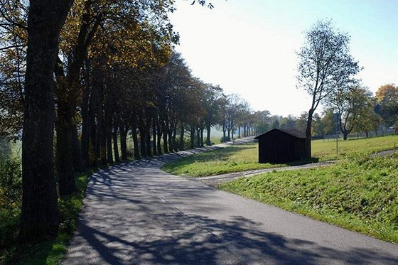 Stromy mezi Mladkovem a Pastvinami