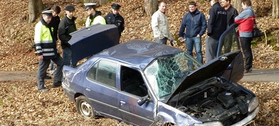 Nehoda osobního auta na cyklostezce na Orlickoústecku stála spolujezdce ivot (13.3. 2011)