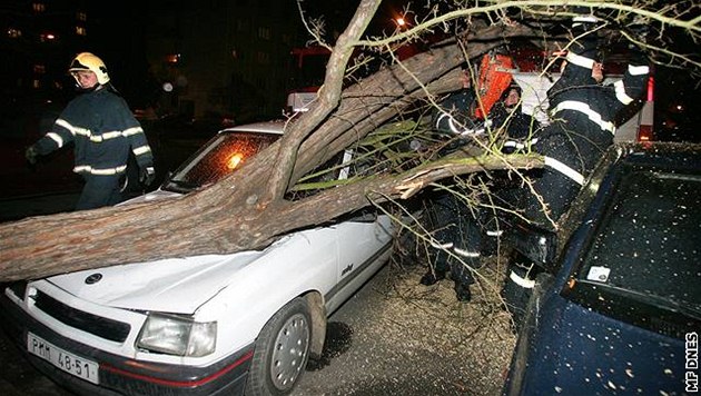 Na pln naloené auto spadl strom. Ilustraní foto.