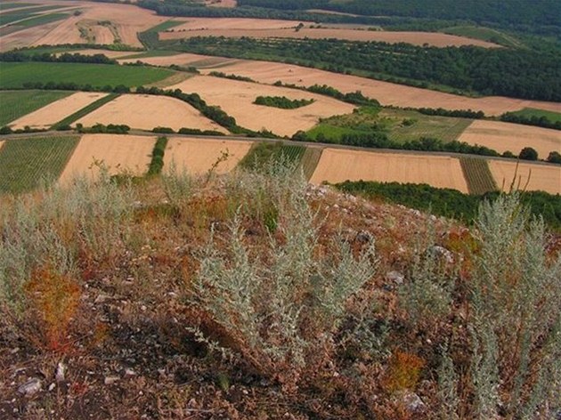 Vrch Dvín - Pálava, Jiní Morava 