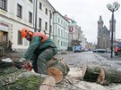 Kácení posledních strom na Velkém námstí v Hradci Králové