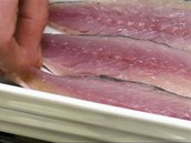 Oitn filety z makrely poskldejte do zapkac misky. 