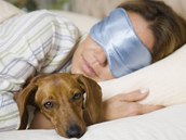 Pes do postele nepat, ale kdo by nepustil svho mazlka do teplch pein. Riskujete ale blechy, kl횝ata i ekzmy.