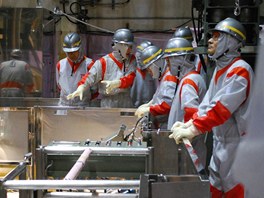 Inspekce navtvila jadernou elektrrnu Fukuima v srpnu 2010