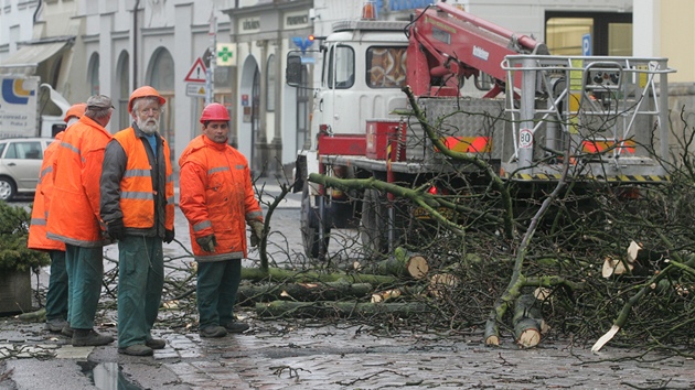 Kácení posledních strom na Velkém námstí v Hradci Králové