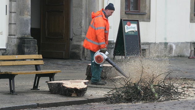 Kácení posledních strom na Velkém námstí v Hradci Králové