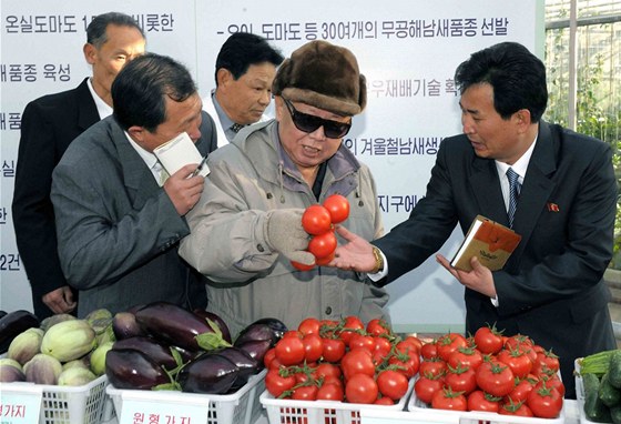 Kim ong-il na obhlídce Institutu pro vývoj zeleniny v Pchjongjangu