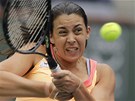 BOJ O TITUL. Francouzka Marion Bartoliov bhem finlovho zpasu turnaje v Indian Wells proti Dnce Wozniack.