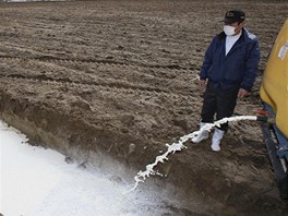 Farm Kenii Hasegava z prefektury Fukuima vylv do pol mlko. ady zakzaly prodej mlka z Fukuimy, zjistily v nm zvenou radiaci (23. bezna 2011)