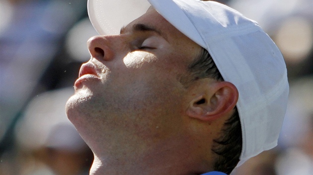 Andy Roddick Andy Roddick