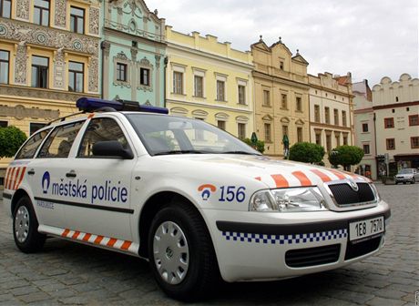Celý incident zaal stíností na patné parkování mstských policist. (Ilustraní foto)