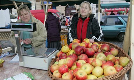 Jeden ze stnk na prvnch olomouckch Hanckch farmskch trzch.