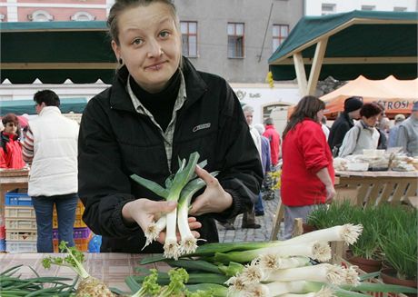 Jeden ze stnk na prvnch olomouckch Hanckch farmskch trzch.