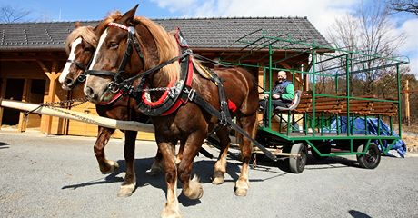 Ve Vysokém Poli sváí odpad pár koní. Budou vozit také turisty.  