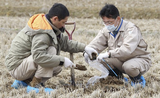 Japonci berou vzorky, aby zkontrolovali zamoenost pdy v prefektue Fukuima.