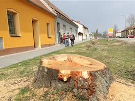Pokcen stolet stromy rozltily obyvatele Valtic. Plnuj i petici.