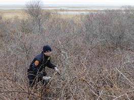 Policist prohledvaj oblast u Oak Beach v USA, kde u nali osm tl (4. dubna 2011)