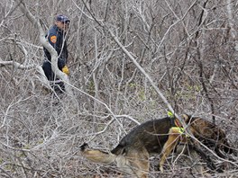 Policist prohledvaj oblast u Oak Beach v USA, kde u nali osm tl (4. dubna 2011)